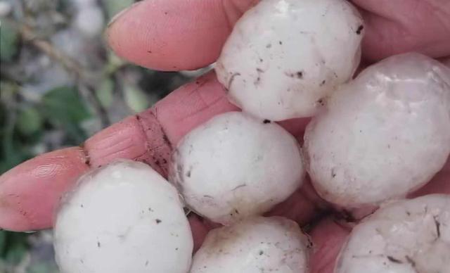 |都说钓鱼人胆子够大,如果遇到这种情况,不死的都是命大之人