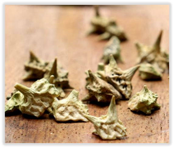 鸡血藤|白癜风患者如何激活酪氨酸酶活性?中医推荐11种中药材