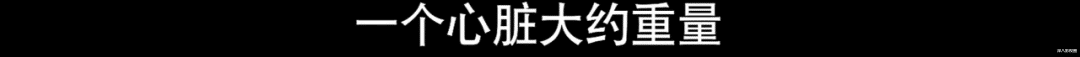 医生|双顶流护航大作，戏内不如戏外精彩啊……