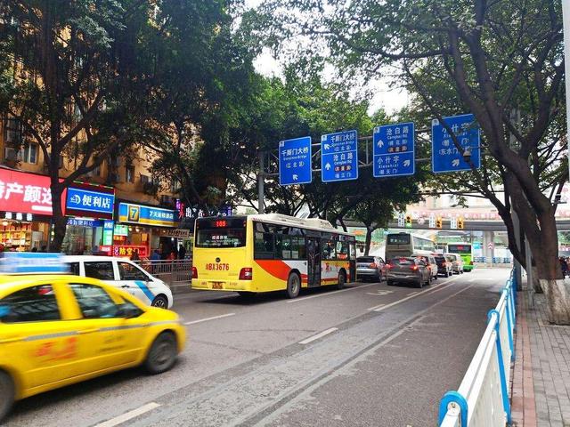 新手上路,千万不要长时间跟在这几种车后面