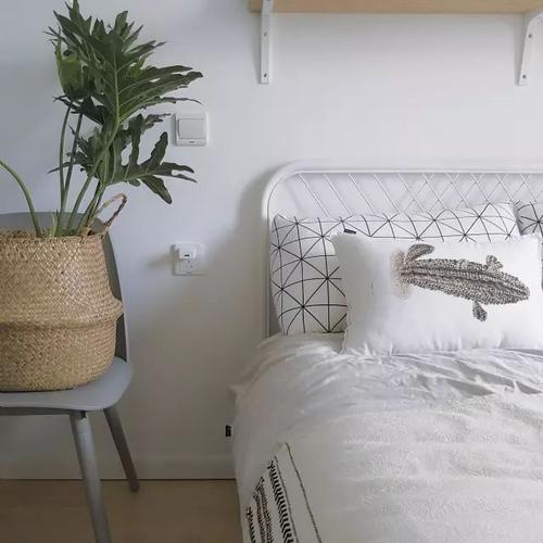 床头不养花，阳台不贴亮面墙砖，这些家居“冷知识”，你知道吗