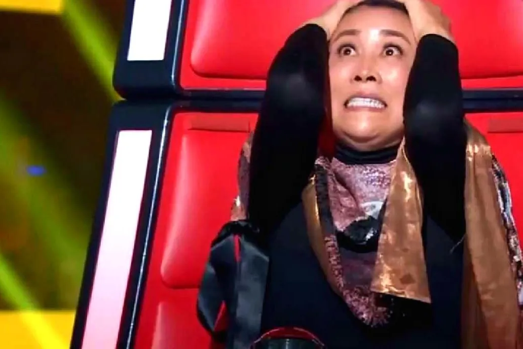 田震|六位红遍全国却突然消失的歌手,有的曾患抑郁症,有的被迫退圈