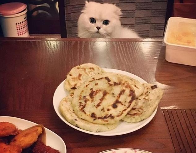 倪妮|倪妮晒出自己的复式豪宅，装修豪华却满地杂物，再好房子也浪费了