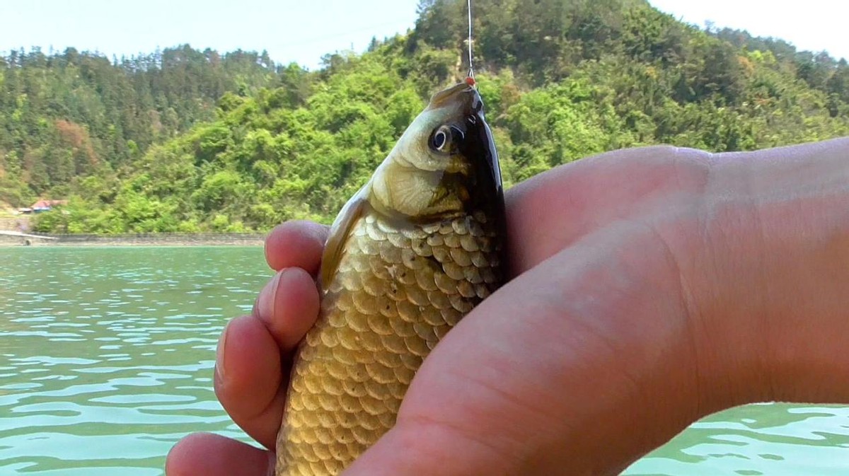 |晚春钓鱼有秘诀,这3处才是“主流藏鱼地”,怎么钓都上鱼!
