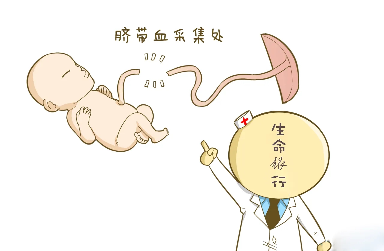 重组家庭迎危机,为救重病儿子,妻子求前夫再孕,现任落泪同意!