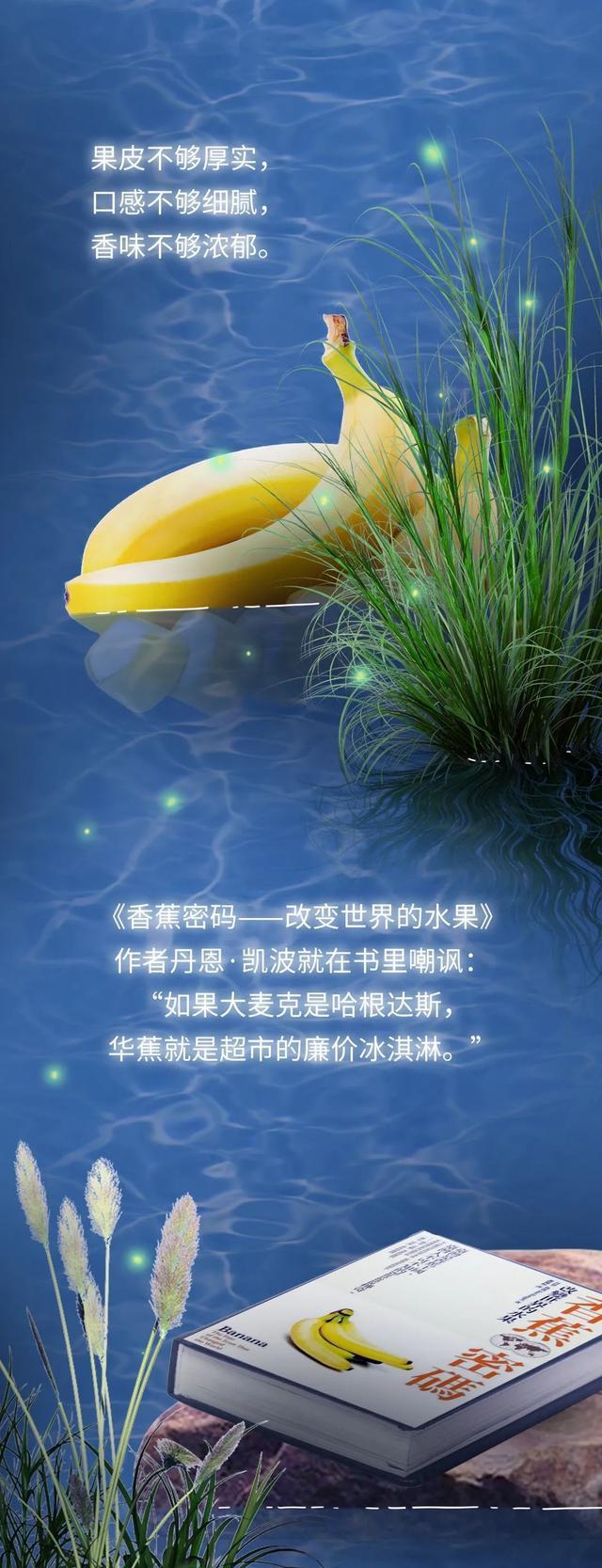 香蕉面临灭绝风险?人类或将无法再吃到香蕉,这到底怎么回事?