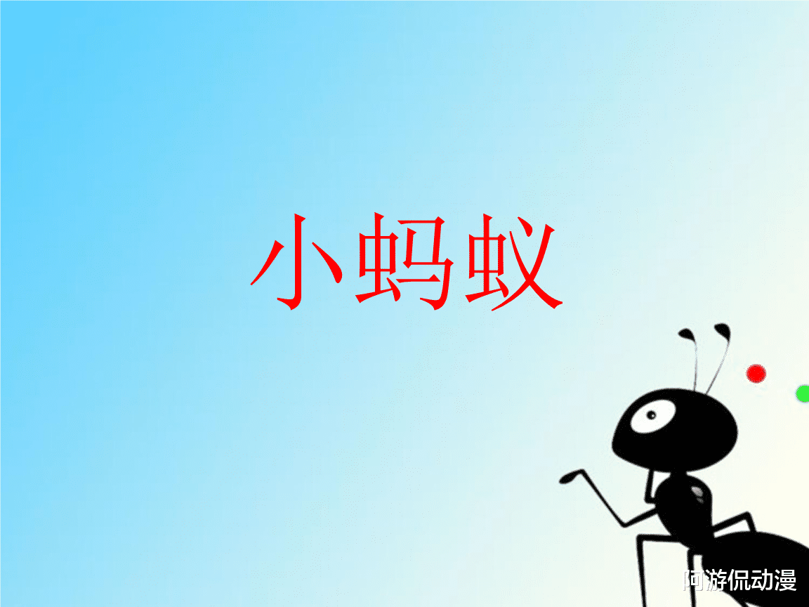 刚刚撞的吓死我了,小蚂蚁是真的硬,绝对!