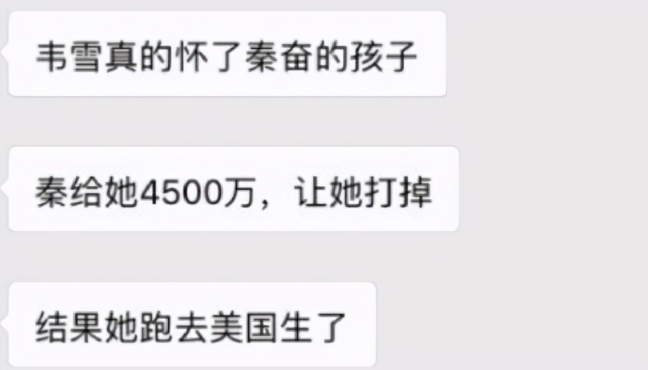 秦奋|“小杨幂”韦雪：一心攀豪门获利九个亿，王思聪却骂她是地摊货