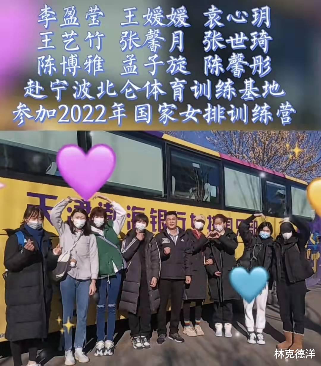 鲍德温|为什么国家女排会选陈友泉辅佐蔡斌？那么为什么姚迪又落选北仑训练营？