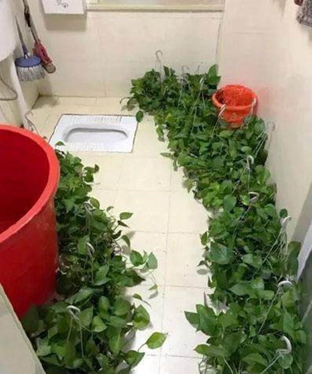 有种“迷之审美”叫父母装修，老人觉得美，子女：宇宙魔性的存在