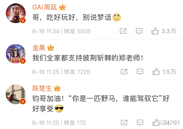 郑钧|郑钧官宣披哥排场大,张艺兴黄磊齐上阵,近20位明星为其应援!