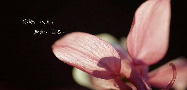 |八月“拍了拍”你，依旧要天天开心哦！