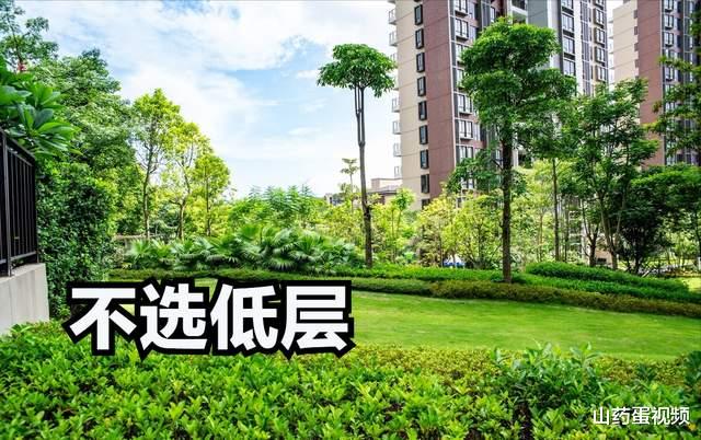 楼市|买房选楼层，5大原则提前了解，基本不会出现选错房的情况