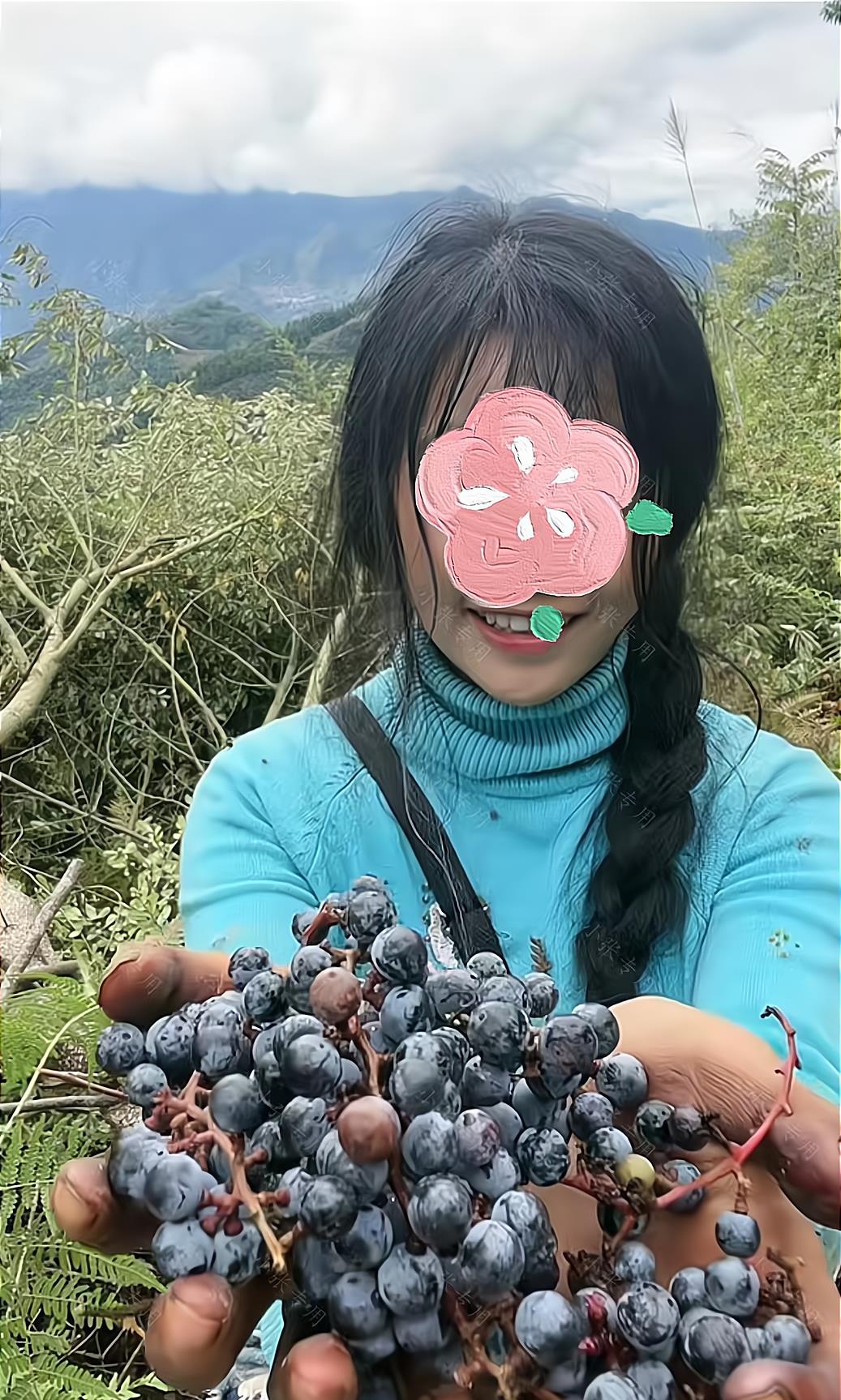 女子头发凌乱,在山上摘野葡萄吃,网友:女孩家不要太邋遢