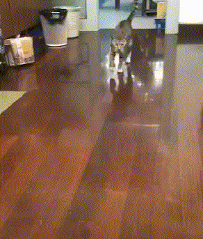 软件|“三大运营商都确认过了，说不是他们的线！”人是早上走的很安详