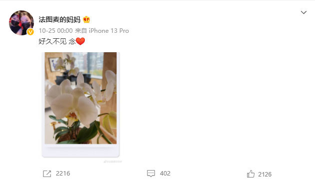 李咏|“央视名嘴”李咏病逝4年，遗孀哈文的选择令人泪目