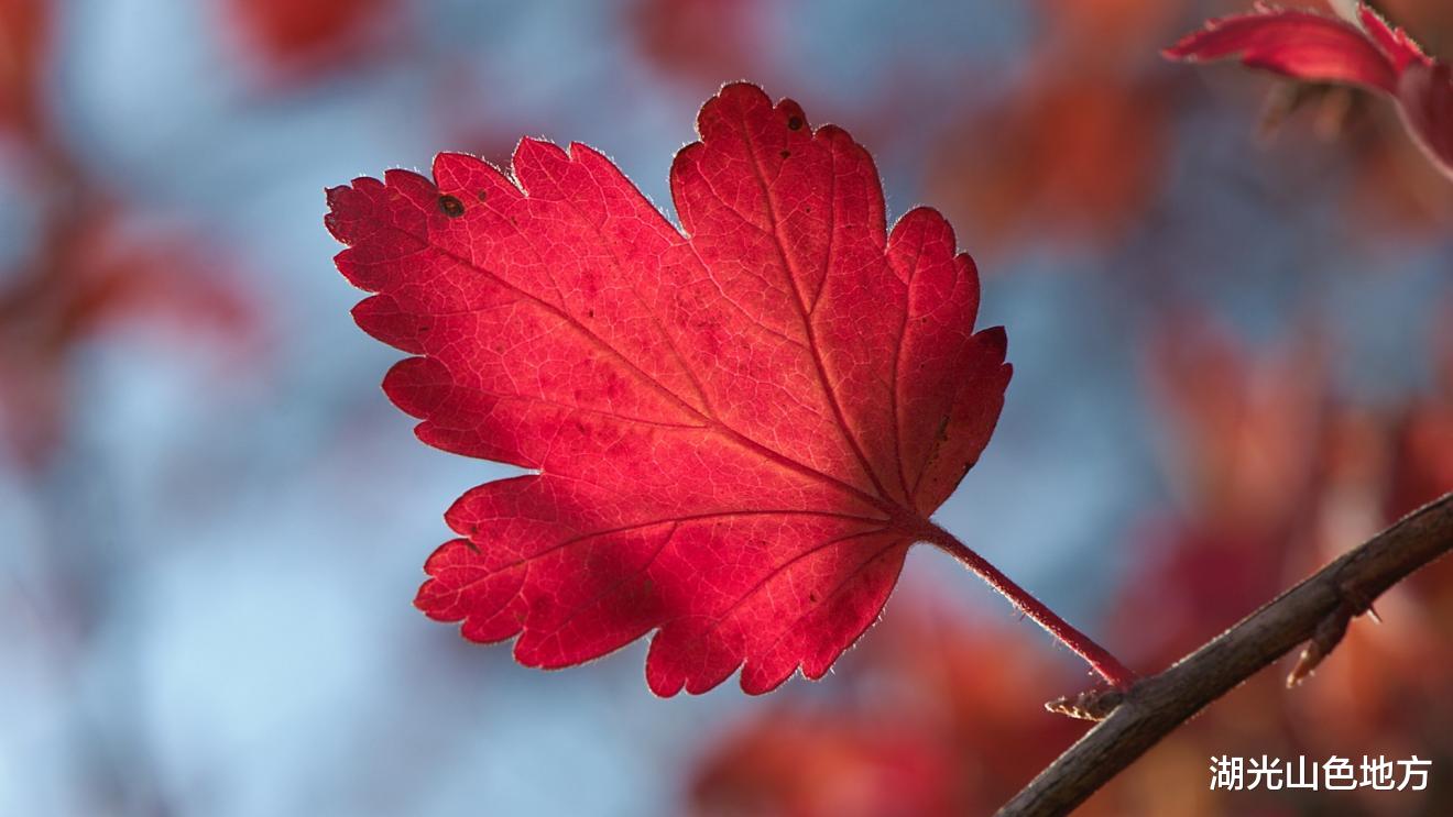 求职|女性如何成为“男女平等的女性”?