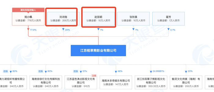王思聪|赵丽颖最新春日大片释出，秀直角肩展现朦胧美，甩裙摆气场全开