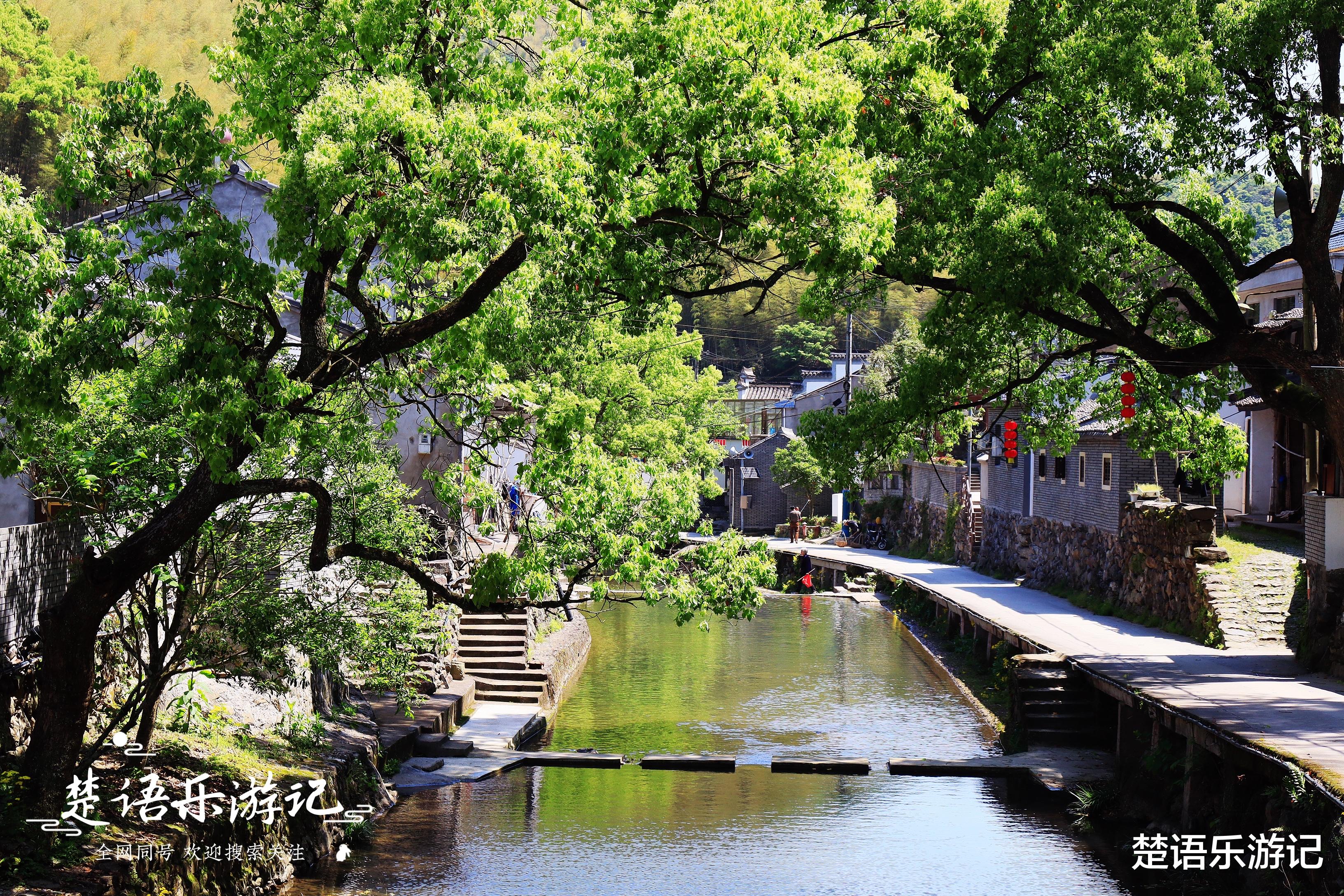 香格里拉|浙江这个小山村背山临溪，被誉为“香格里拉”，原来是玩水胜地