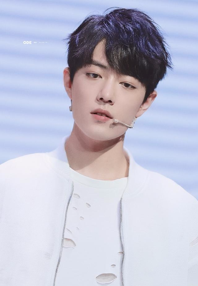 肖战|回看用户前4，肖战综艺、剧集搜索量上升明显