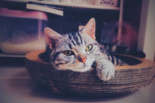 |一个人是不是富贵命 ，到40岁左右就能看出来，两个细节很关键