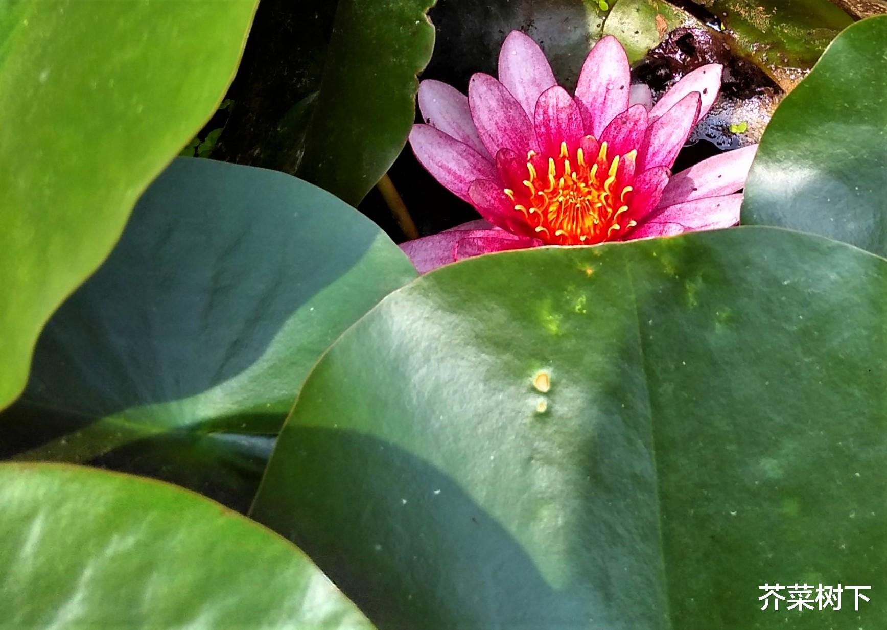 招生|接受工作中的缺憾，拥抱残局，却不守缺