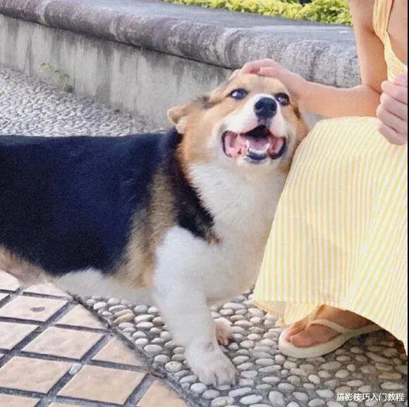 别再去网上找头像了，自己动手拍情侣头像简直太甜了