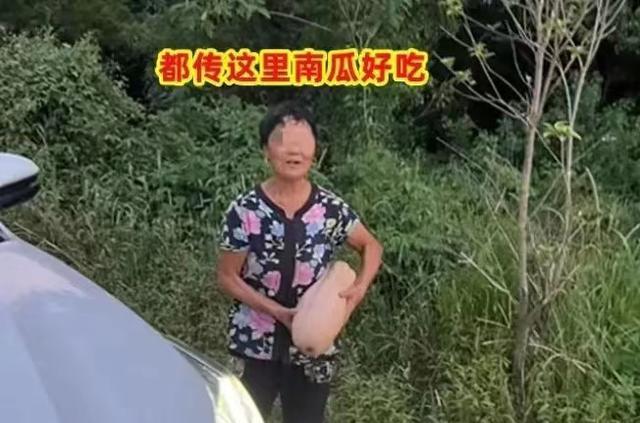 新洲南瓜事件:当地人称南瓜在本地多的是,都没人去吃,不至于偷