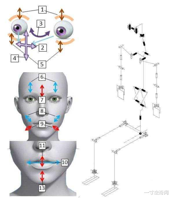 小米科技|老婆机器人上市一小时售罄，除了不能生育，其他全会做？别被骗了