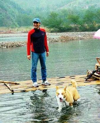 尊龙|爱过陈冲,让林青霞迷恋的尊龙,为何68岁只有狗和2棵树相伴?