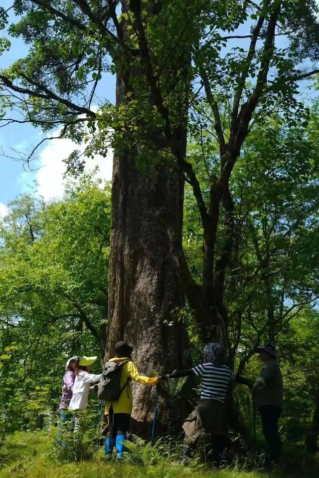 |别再喊热了!这个被央视疯狂点赞的避暑秘境,18℃!爆凉快!