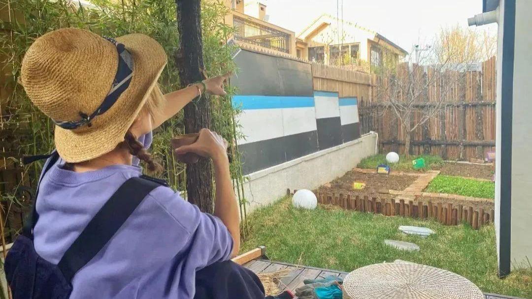 黄雅莉|34岁过气“超女”现状曝光：没钱，租房种菜，活成娱乐圈李子柒！