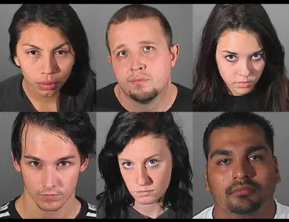 明星|亚裔富家千金组团偷遍好莱坞明星 超过300万美元的东西被盗!