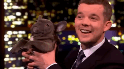 美剧|十月美剧预告:《美国恐怖故事》第十一季10月19日上线