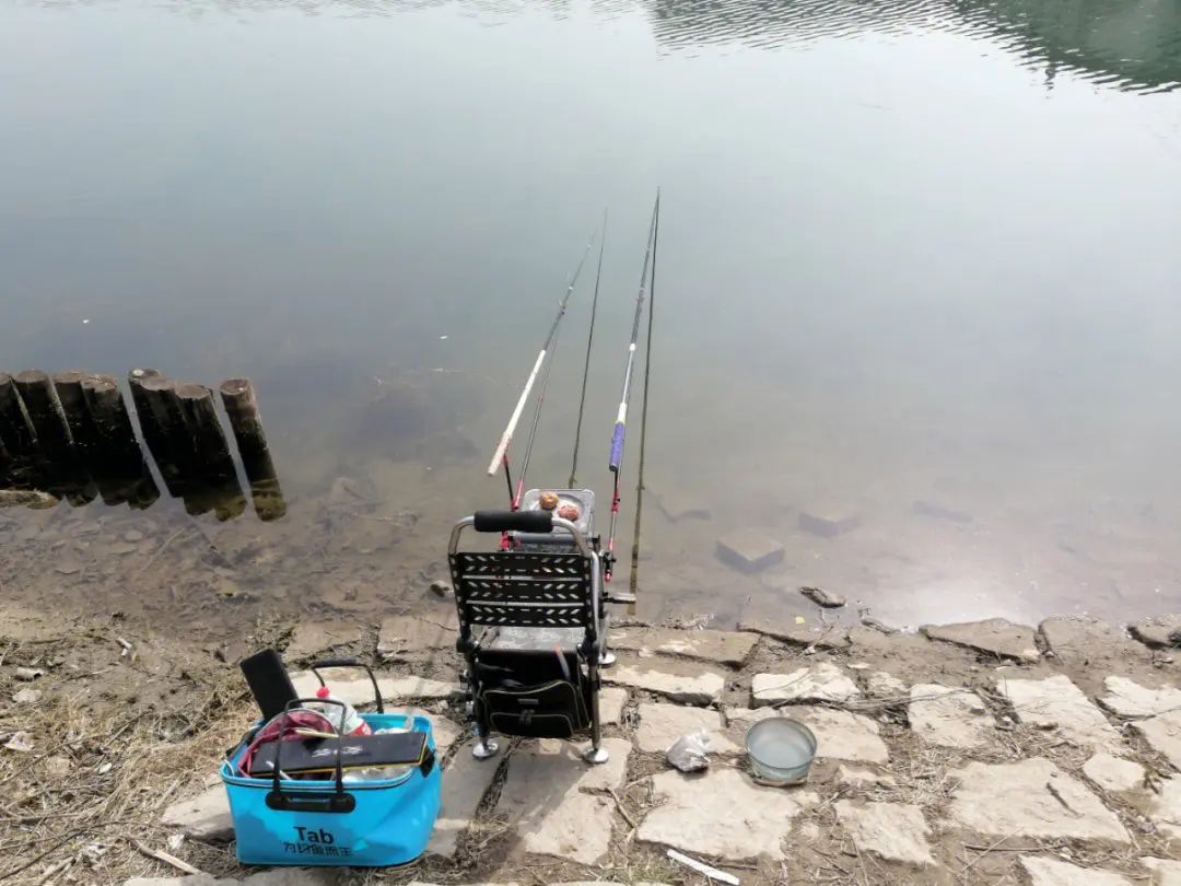 水库|冬钓调漂两个方向，做对路子了，鱼口多轻都不怕
