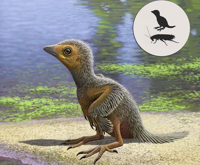 谁能笑到最后?地球上最水火不容的生物是啥?仇怨长达3600万年