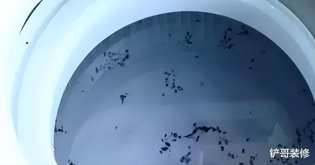 衣服洗完沾满毛絮？老保姆教你正确做法，衣服洁净如新，真省事！