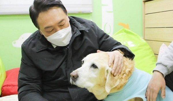 王朔|少女时代泰妍的愤怒！斥责《太宗李芳远》剧组不人道