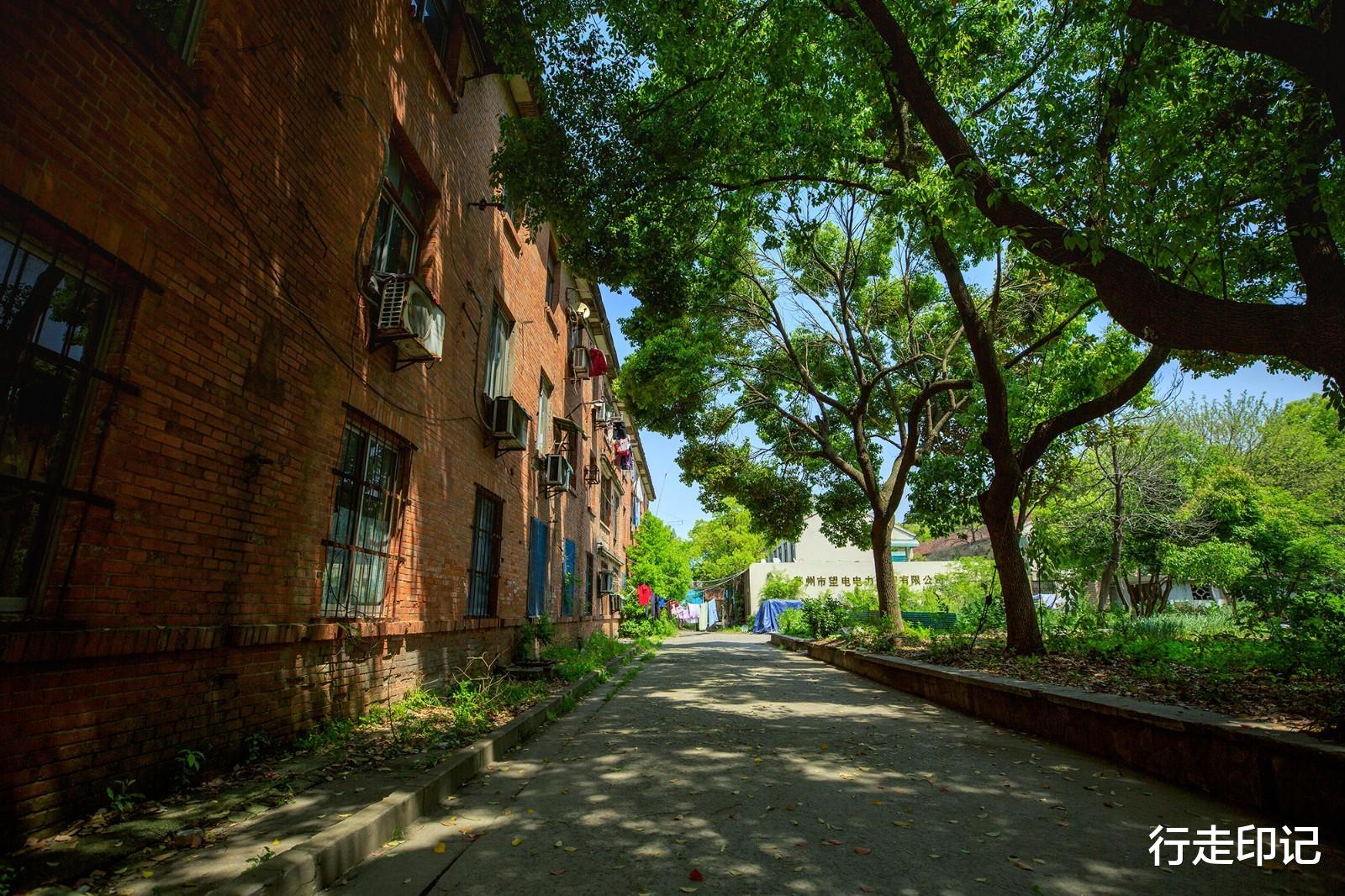 摩登时代|运河之畔的红洋房,藏着父辈们的摩登时代