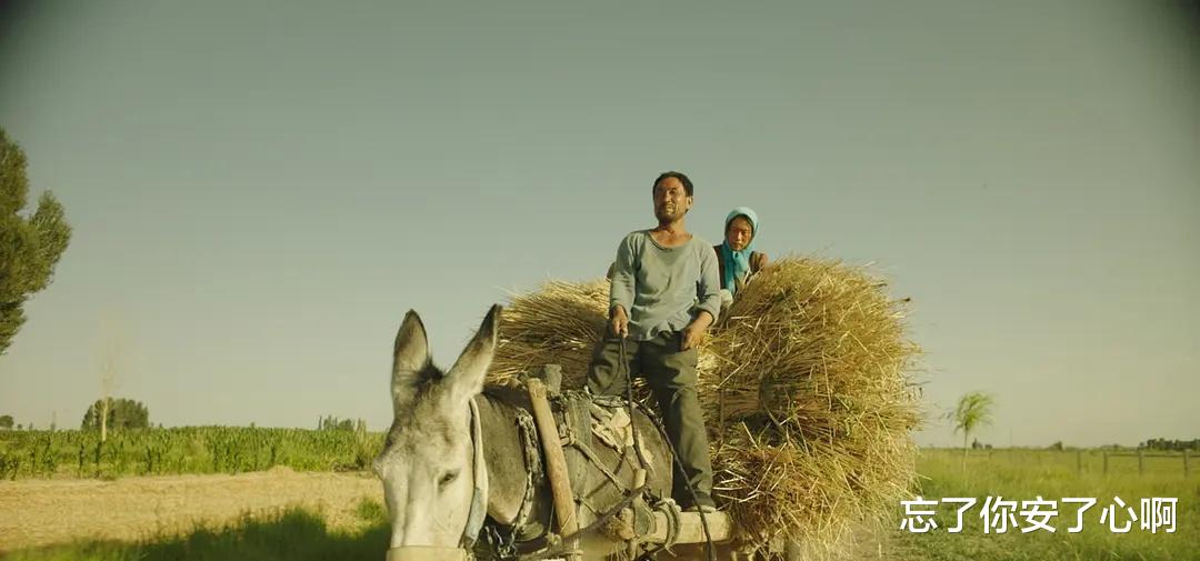 电影|郭松民怒斥《隐入尘烟》:人物永远呆滞和冷漠,玩弄观众感情