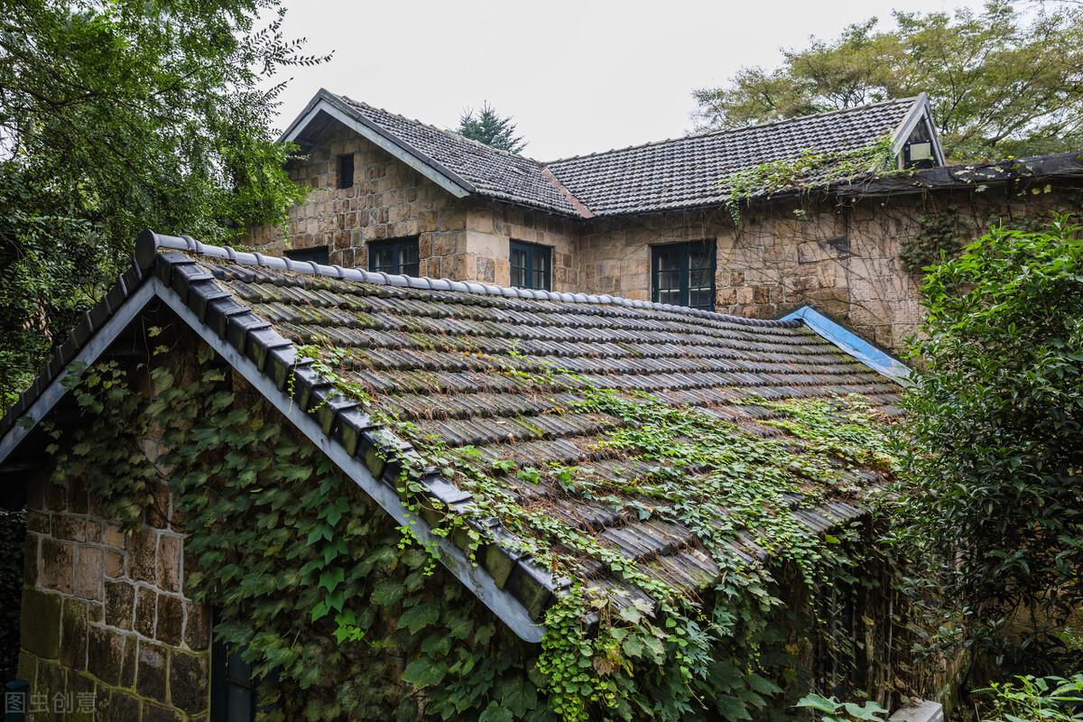 莫干山|郭进拴|游莫干山记