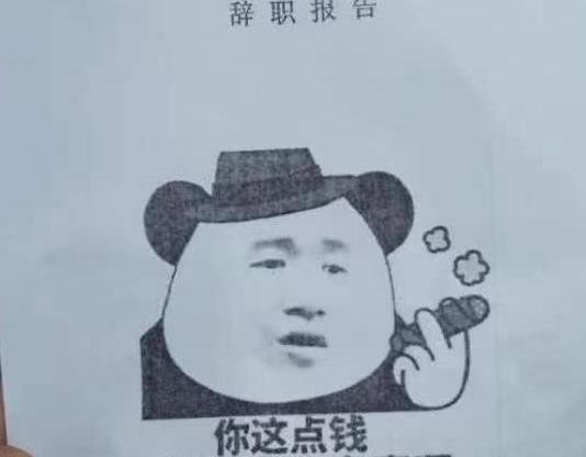 大学生|“娘娘应该在宫里”，00后大学生辞职申请火了，领导看了无言以对