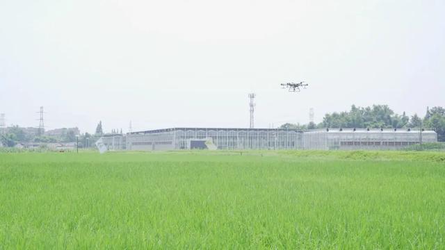长兴岛|乡村之旅，品酒作画，有一见如故之欢笑，有不期而遇之美好