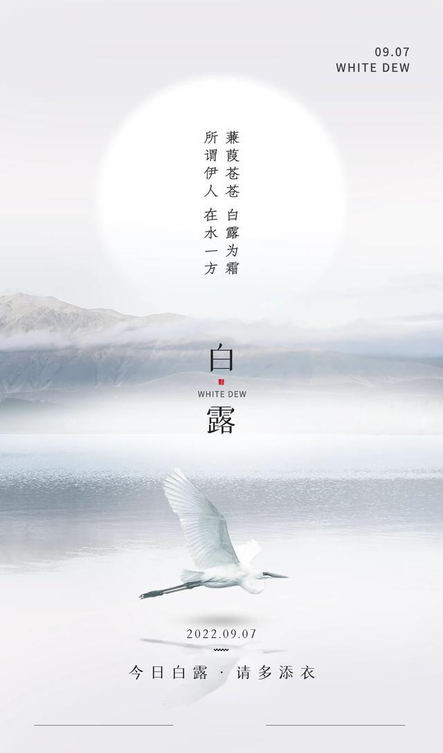 白露图片配图唯美高清带字大全,白露朋友圈问候语文案句子