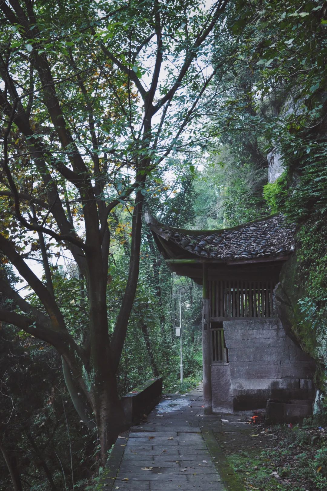 露营|千年的时光，绵延流淌，巴蜀的风华，值得品味！