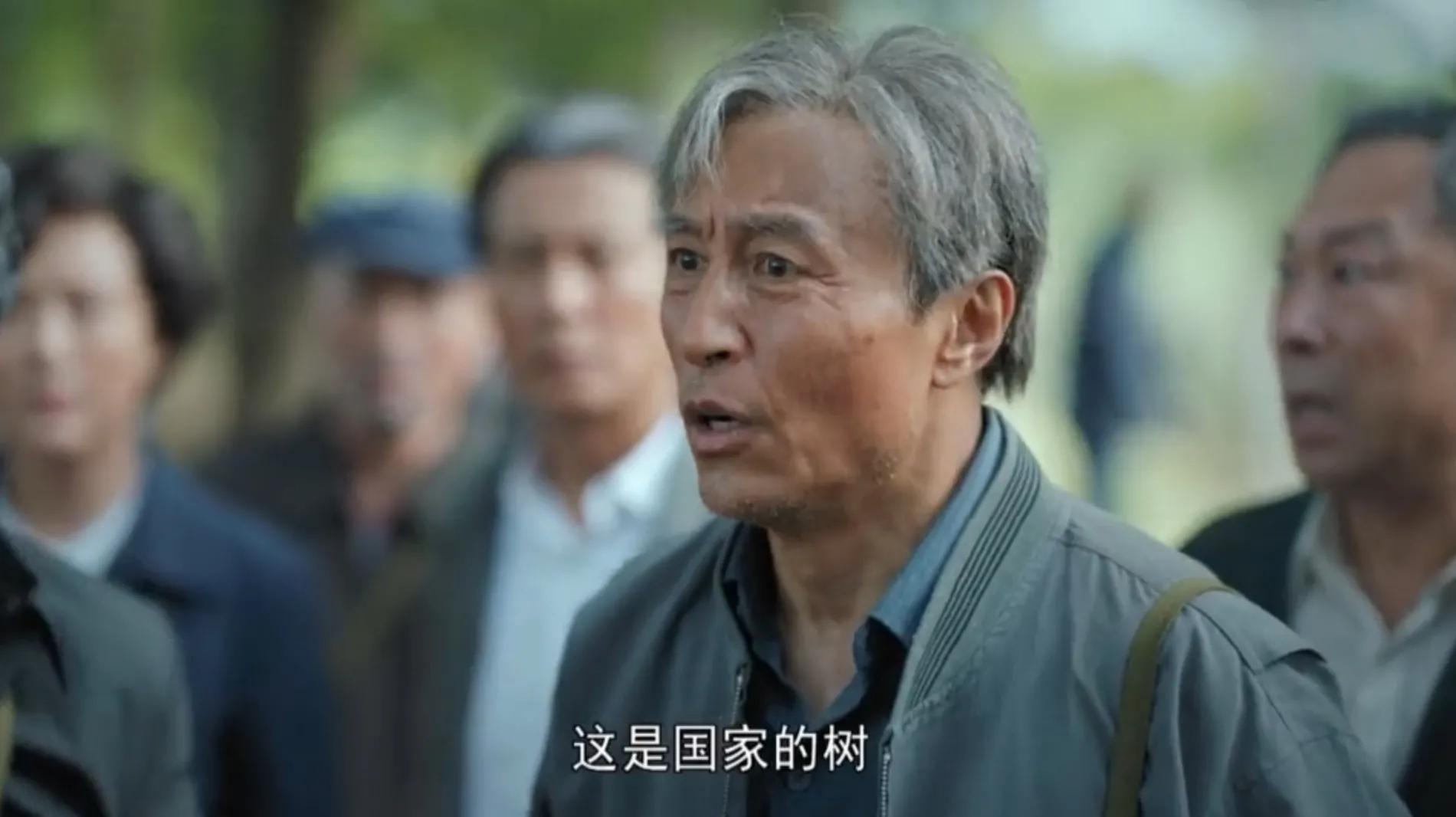 大青山|《青山不墨》结局：迅速成长的马保峰克服重重困难，保住了大青山