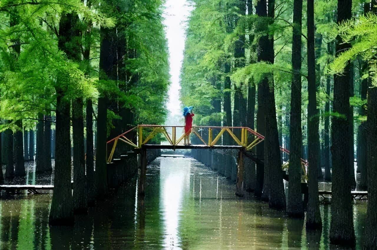 烟台|盘点全国最适合夫妻旅游的十个地方,你们打卡了几个?