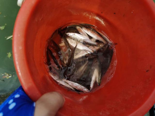 饵料|【作钓报告】回顾2022年度，期盼2023更好！