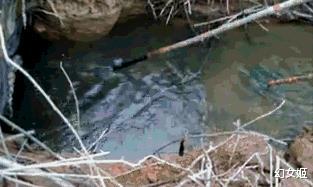 山东一男一女大白天干丑事,钓鱼人将其拍下发到网上,网友:严惩