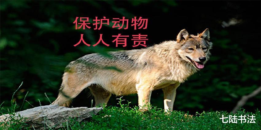 警察|大妈求垂钓小伙放生被拒后报警,警察却帮小伙说话,大妈有点尴尬